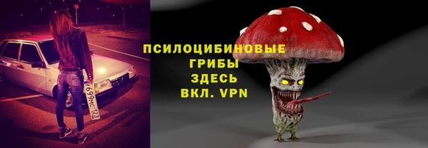 PSILOCYBIN Алексин