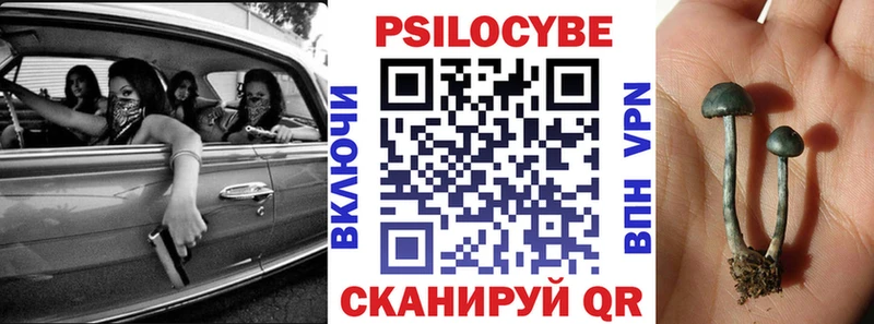 Галлюциногенные грибы Psilocybe  цены   Сортавала 